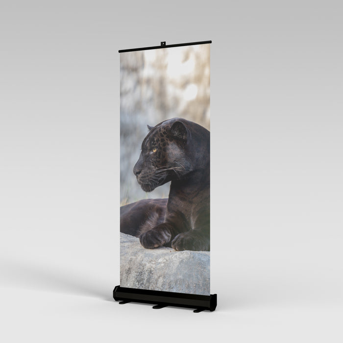 Roll-up con base nera